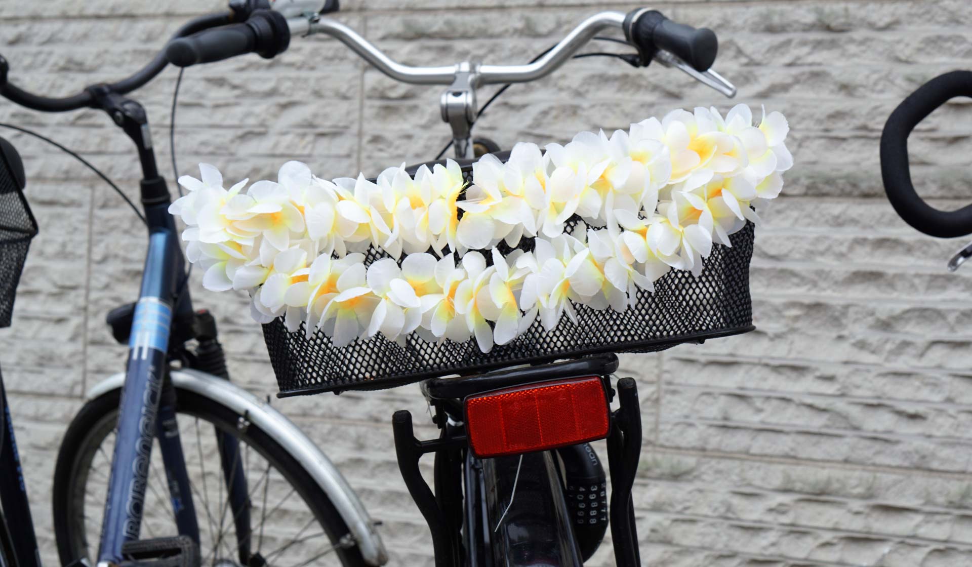 Foto: Frank Bunz-Grunenberg